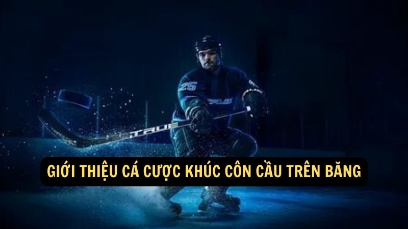 Giới Thiệu Cá Cược Khúc Côn Cầu Trên Băng