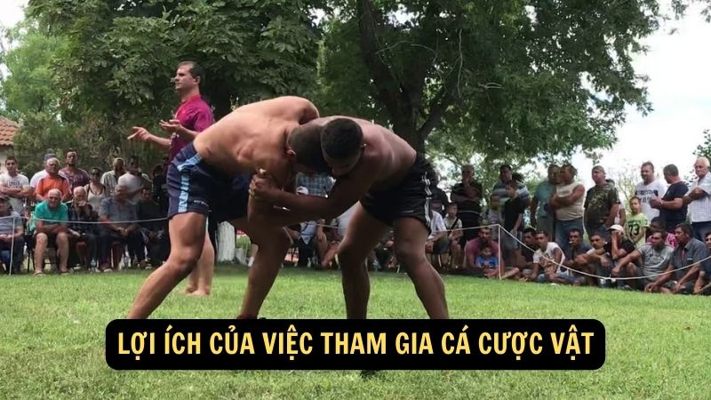 Một số lưu ý khi tham gia cá cược vật