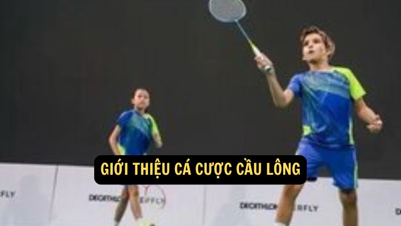 Giới Thiệu Cá Cược Cầu Lông