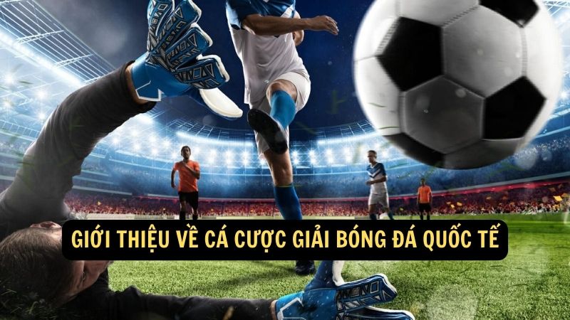 Giới thiệu về Cá cược giải bóng đá quốc tế