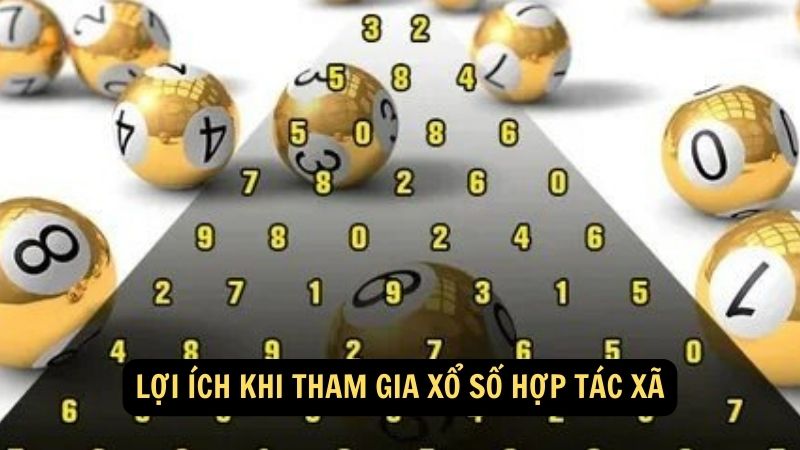 Lợi ích khi tham gia xổ số hợp tác xã