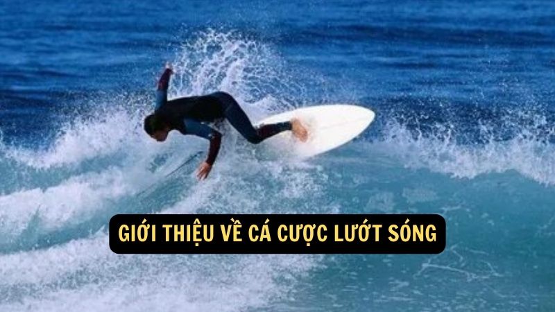 Giới thiệu về cá cược lướt sóng