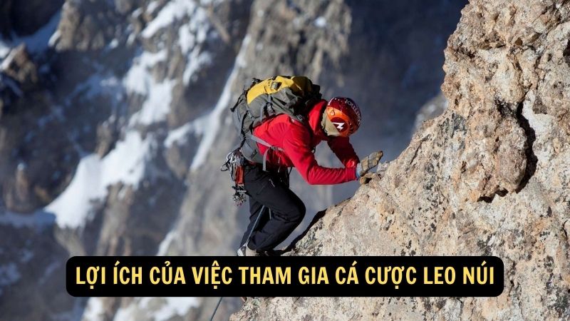 Lợi ích của việc tham gia cá cược leo núi