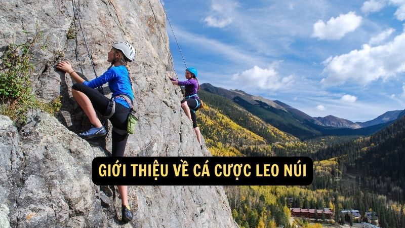 Giới thiệu về cá cược leo núi