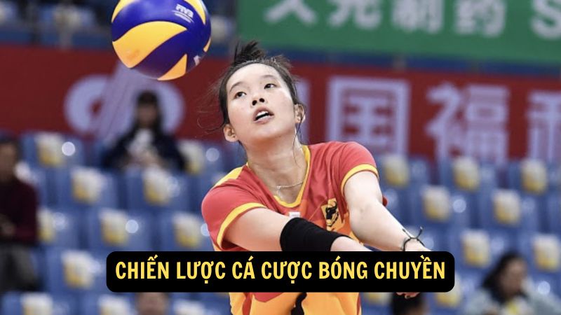 Chiến lược cá cược bóng chuyền