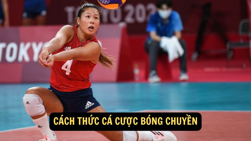 Cách thức cá cược bóng chuyền