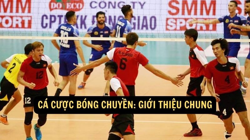 Cá Cược Bóng Chuyền: Giới thiệu chung