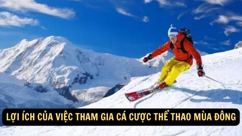 Lợi ích của việc tham gia cá cược thể thao mùa đông