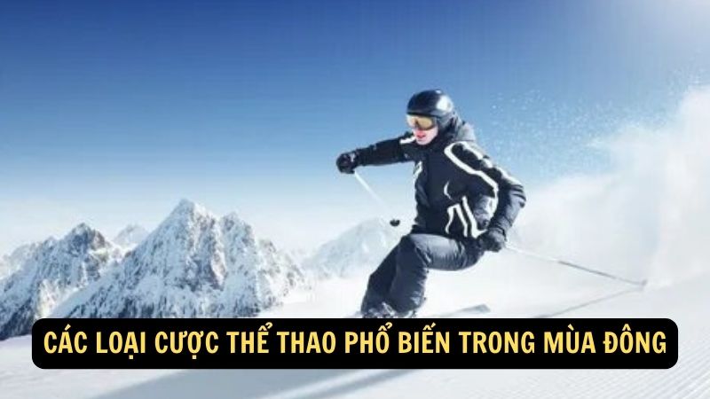 Các loại cược thể thao phổ biến trong mùa đông