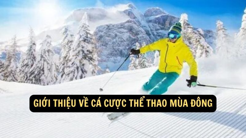 Giới thiệu về cá cược thể thao mùa đông