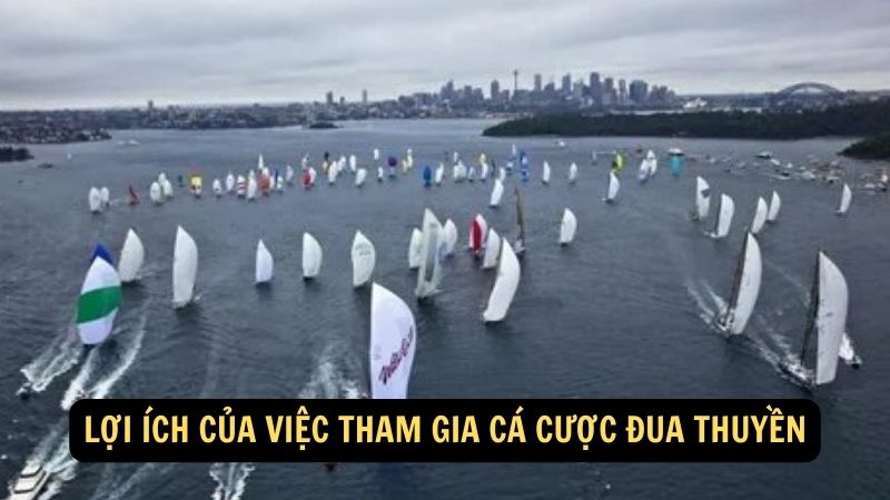 Lợi ích của việc tham gia cá cược đua thuyền