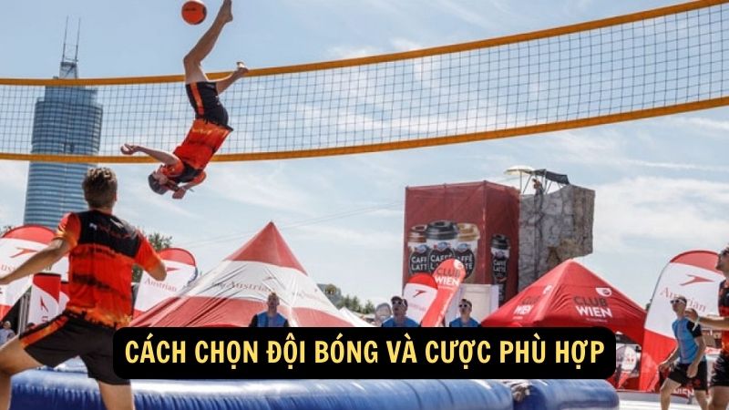 Cách chọn đội bóng và cược phù hợp