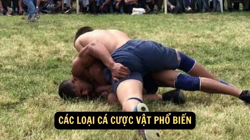 Các loại cá cược vật phổ biến