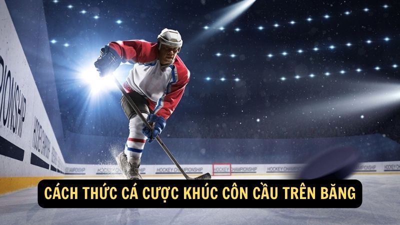 Cách thức cá cược khúc côn cầu trên băng