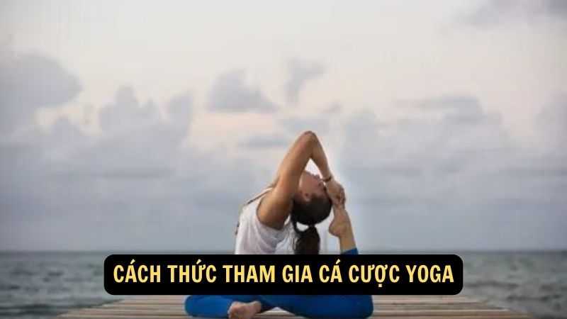 Cách thức tham gia cá cược yoga