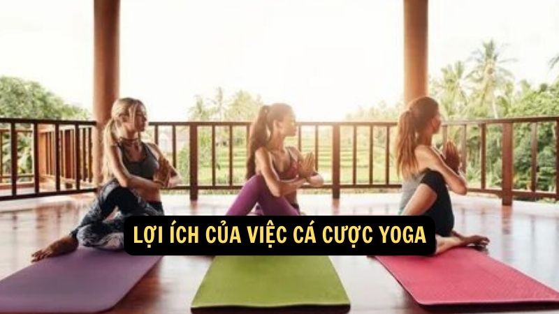 Lợi ích của việc cá cược yoga