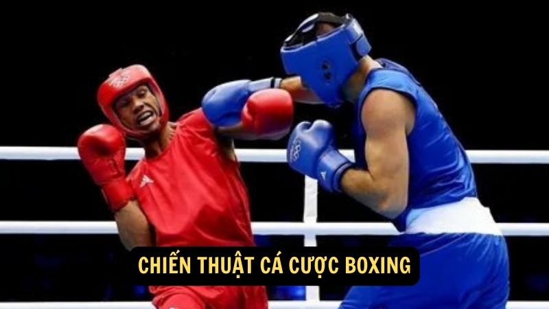 Chiến thuật cá cược boxing