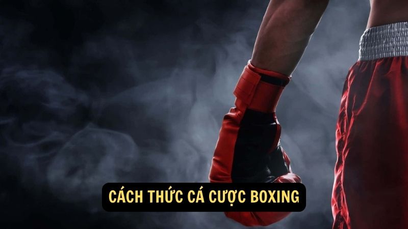 Cách thức cá cược boxing