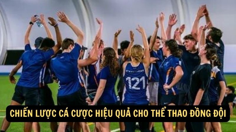 Chiến lược cá cược hiệu quả cho thể thao đồng đội