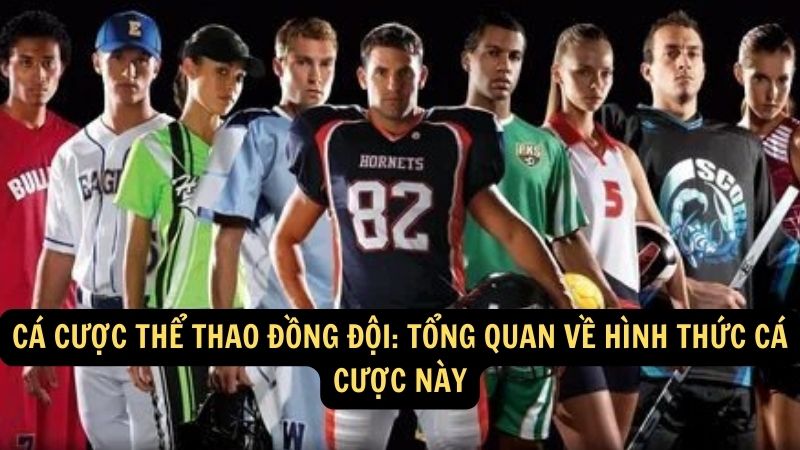 Cá cược thể thao đồng đội: Tổng quan về hình thức cá cược này