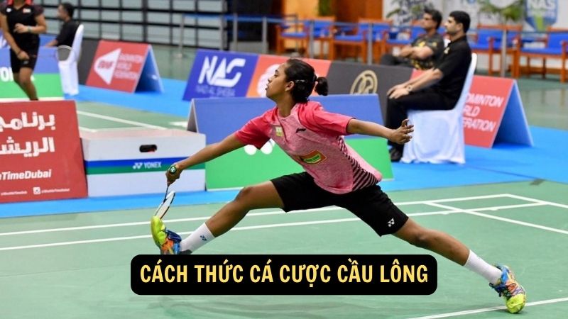 Cách thức cá cược cầu lông